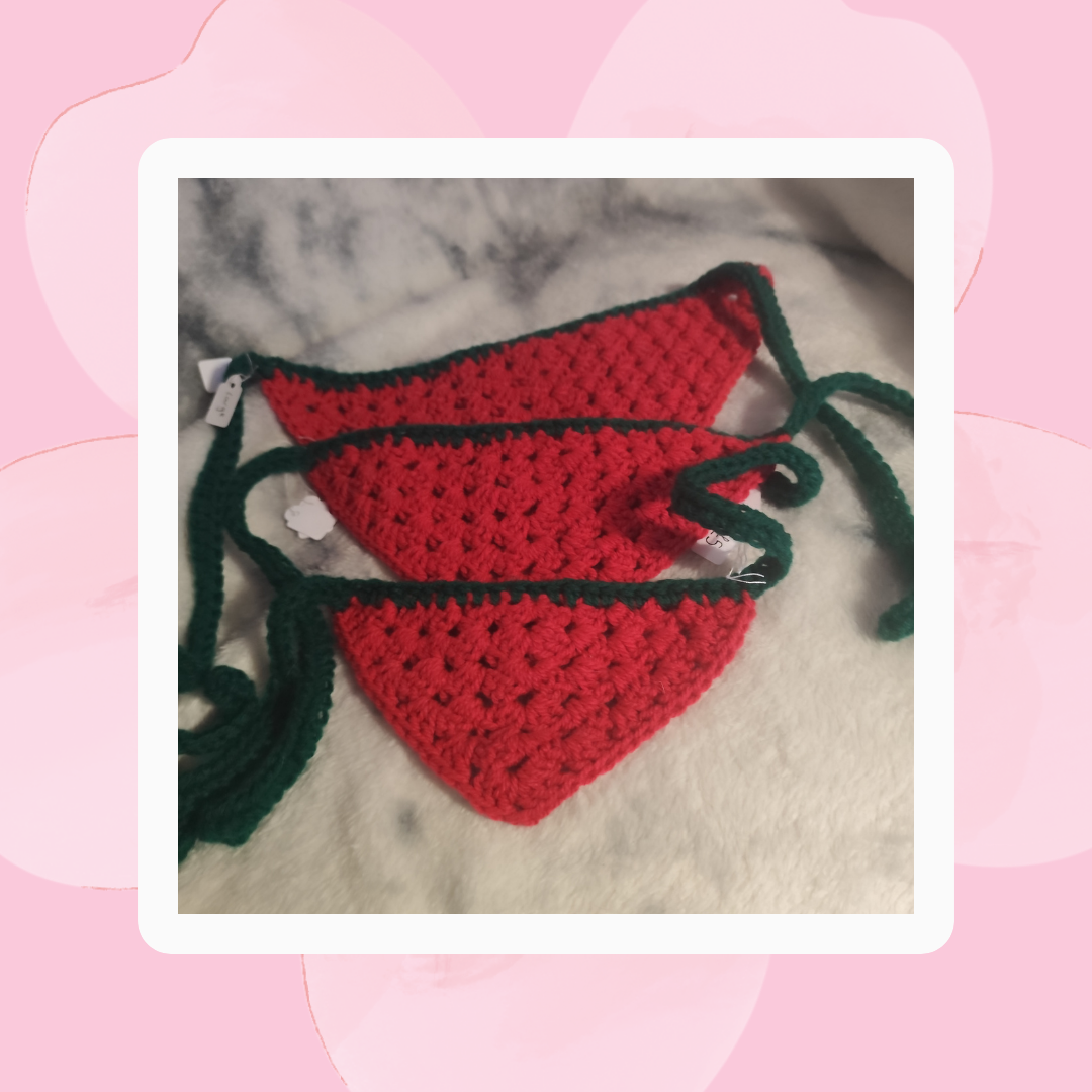 🌸Red and Green Pet Bandana 🌸
