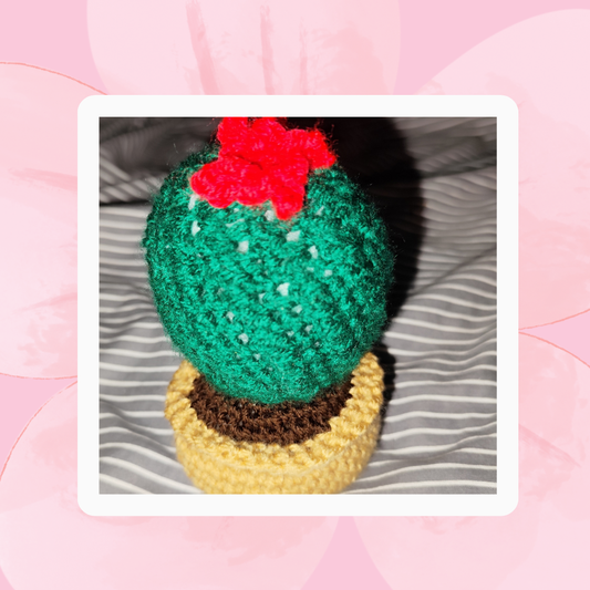 🌸 Crochet cacti🌸
